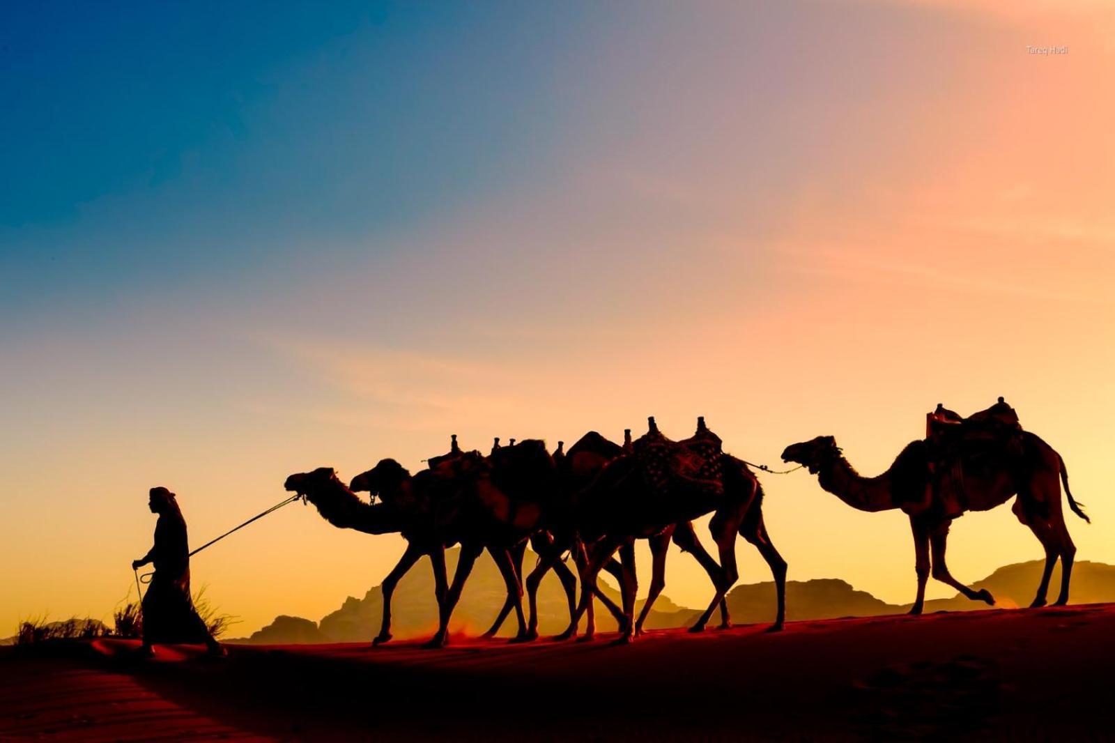 Scarlet Luxury Camp Wadi Rum Extérieur photo