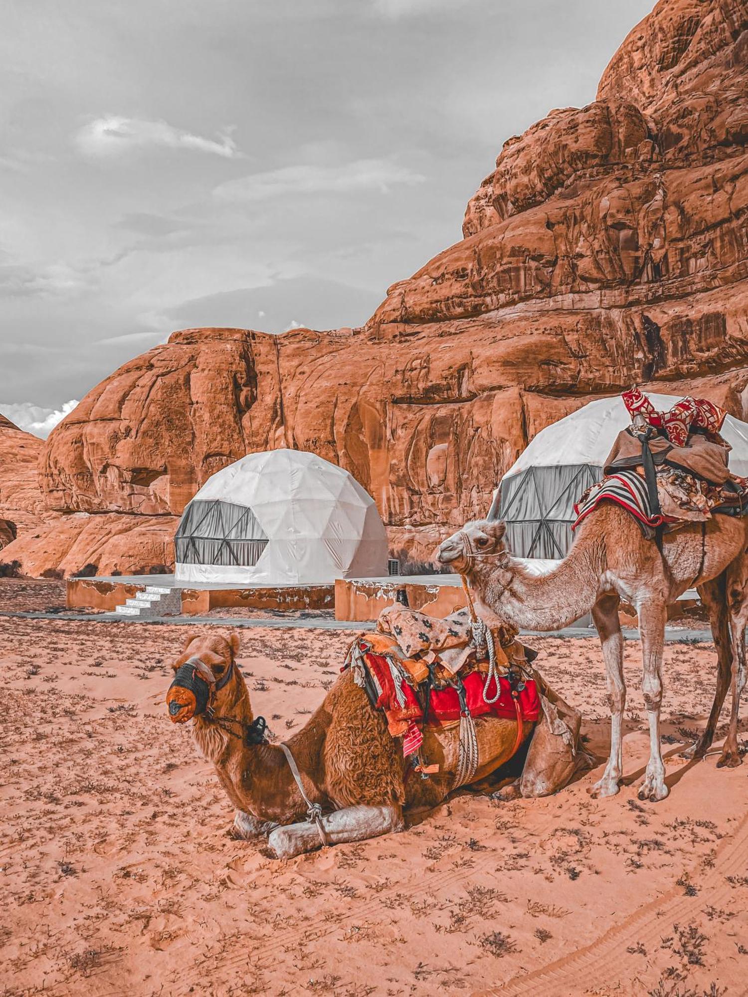 Scarlet Luxury Camp Wadi Rum Extérieur photo